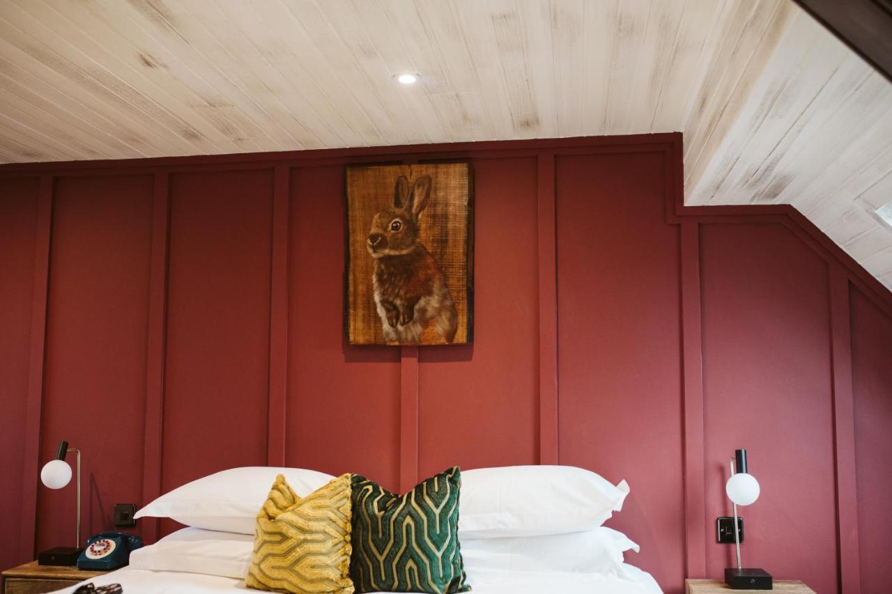The Rabbit Hotel & Retreat Templepatrick Extérieur photo