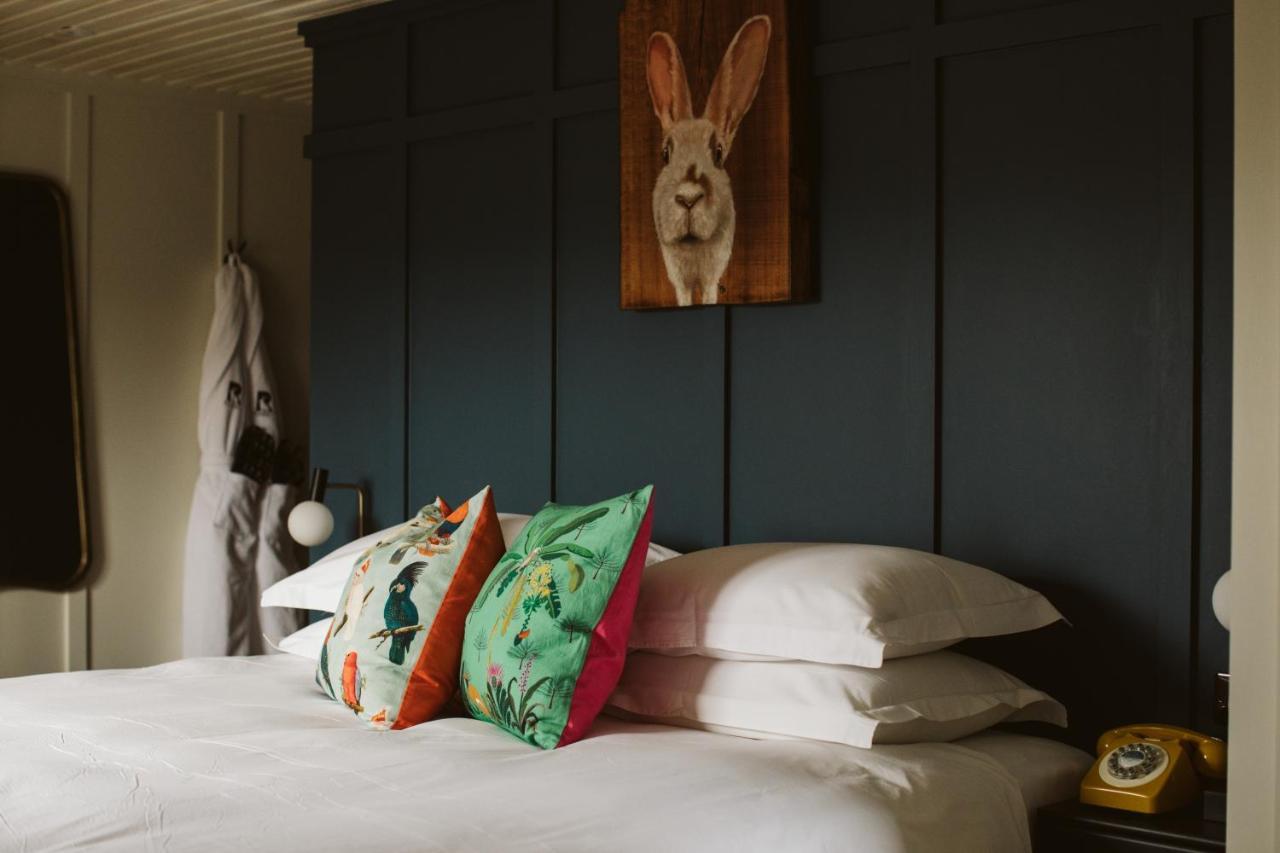The Rabbit Hotel & Retreat Templepatrick Extérieur photo