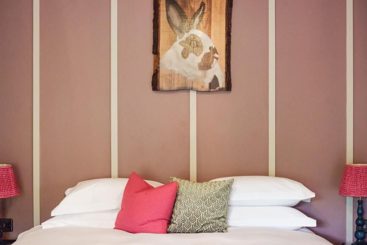 The Rabbit Hotel & Retreat Templepatrick Extérieur photo