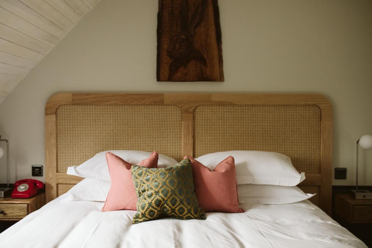 The Rabbit Hotel & Retreat Templepatrick Extérieur photo